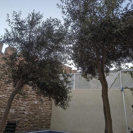 Aghata Palms Riad エッサウィラ エクステリア 写真