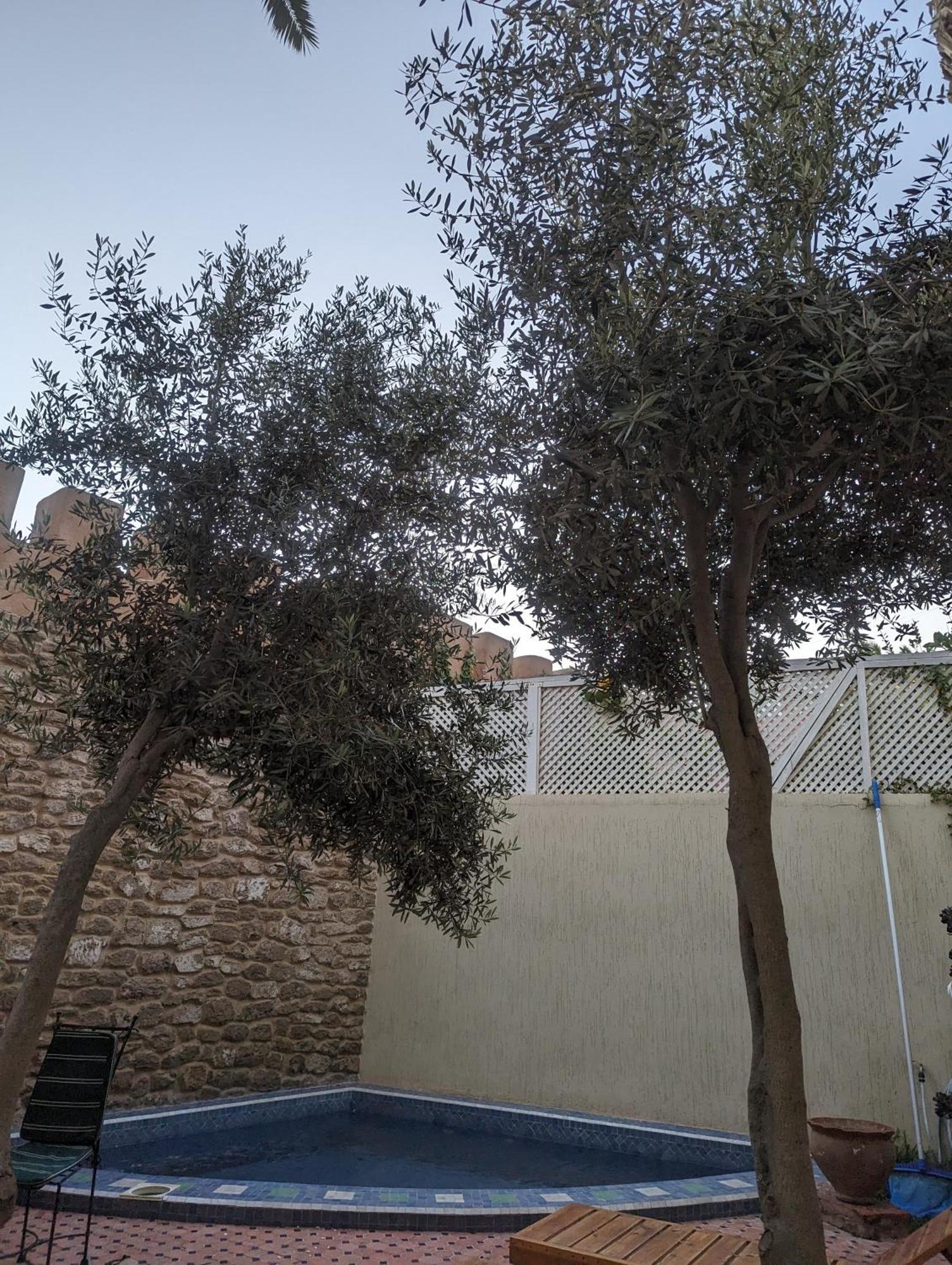 Aghata Palms Riad エッサウィラ エクステリア 写真